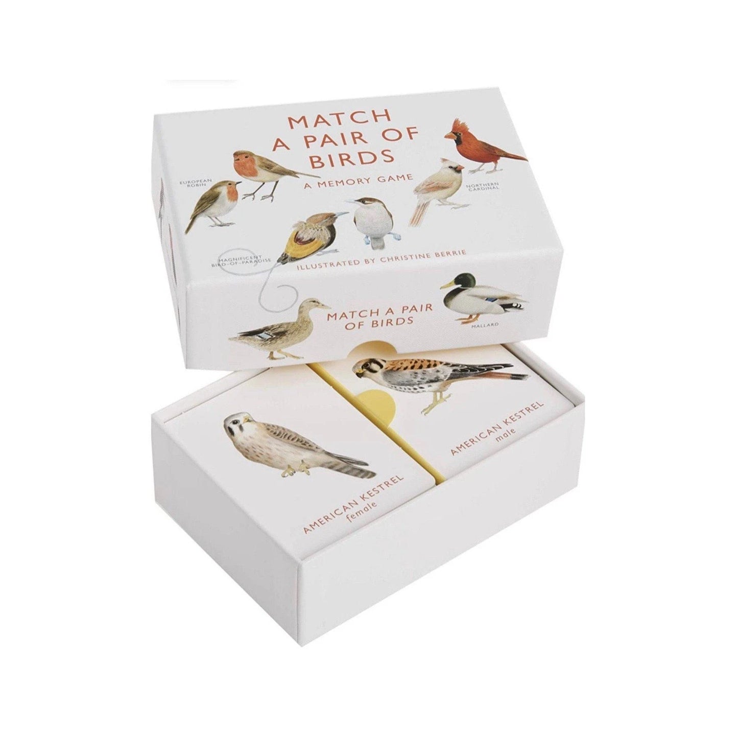 Match A Pair of Birds | Nature Game - Alder & Alouette