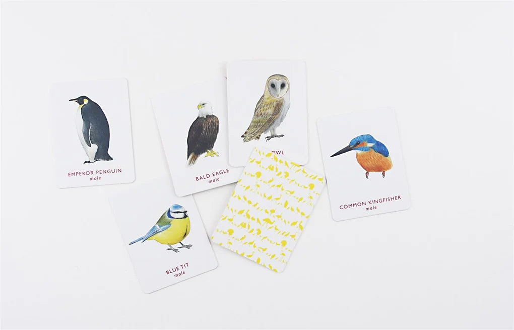 Match A Pair of Birds | Nature Game - Alder & Alouette