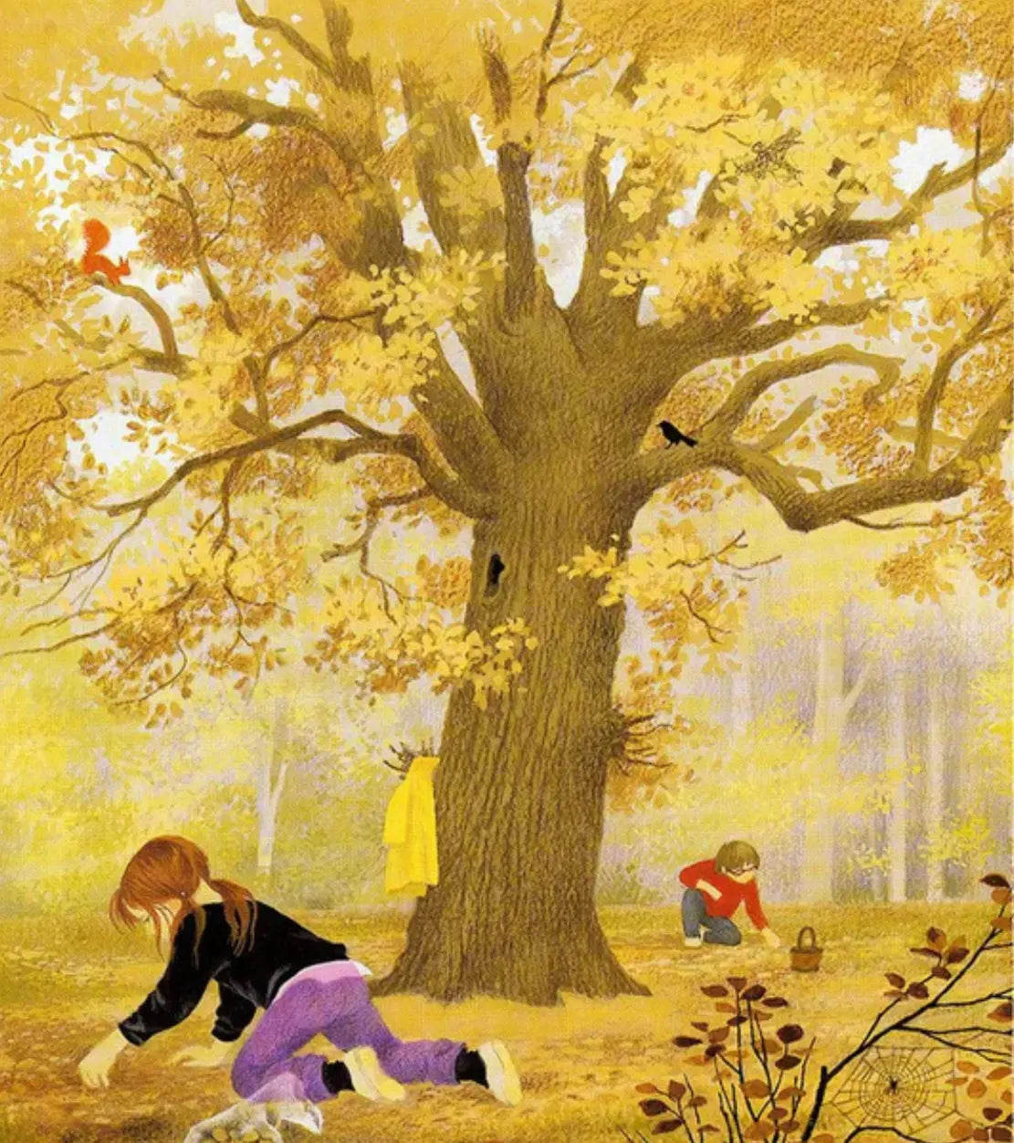 Boxed Set of Gerda Muller Seasons Board Book Set