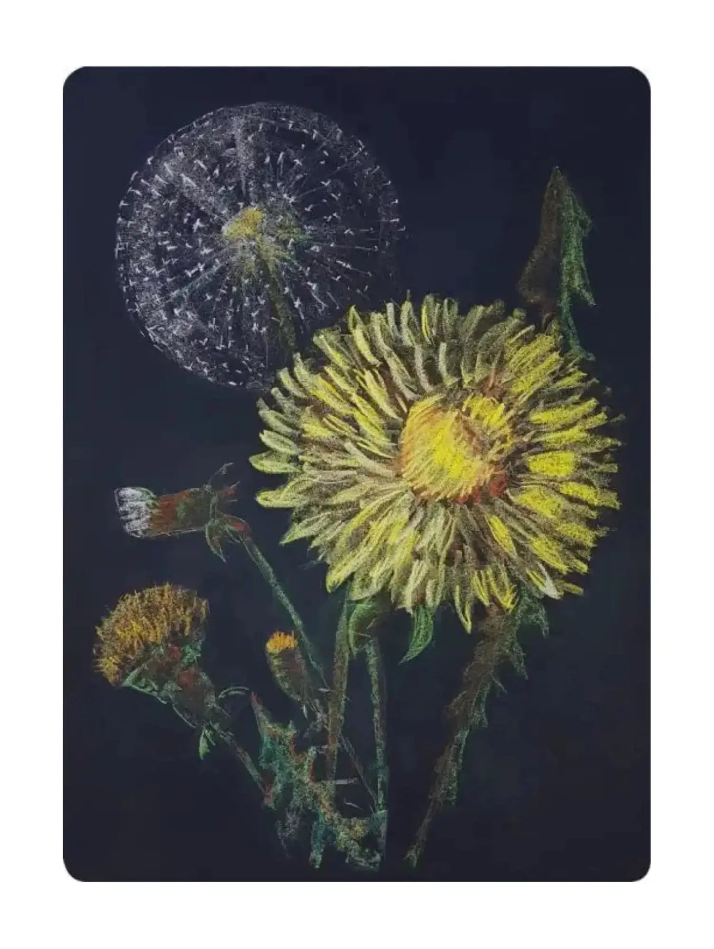 Dandelions by Geertje Kapteijns