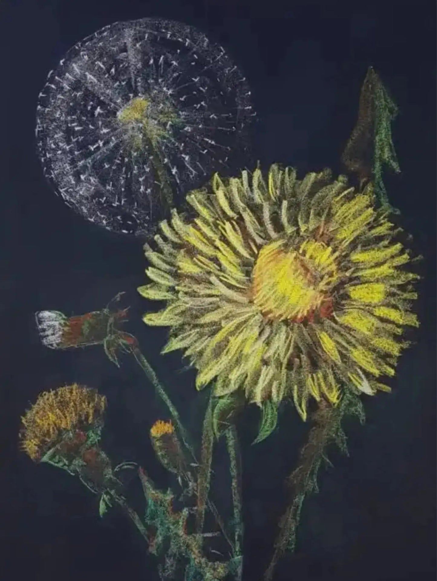 Dandelions by Geertje Kapteijns