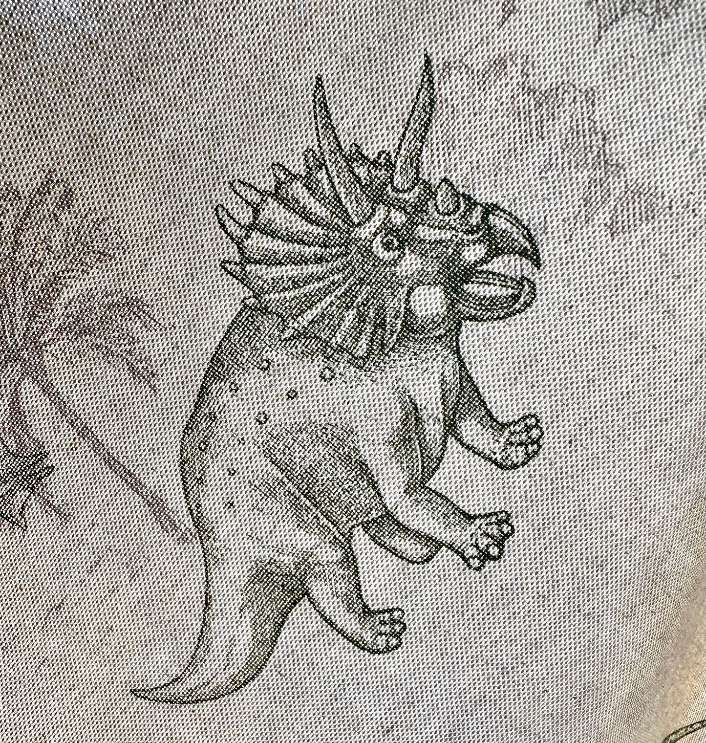 Kids Apron - Dinosaur Apron - Alder & Alouette