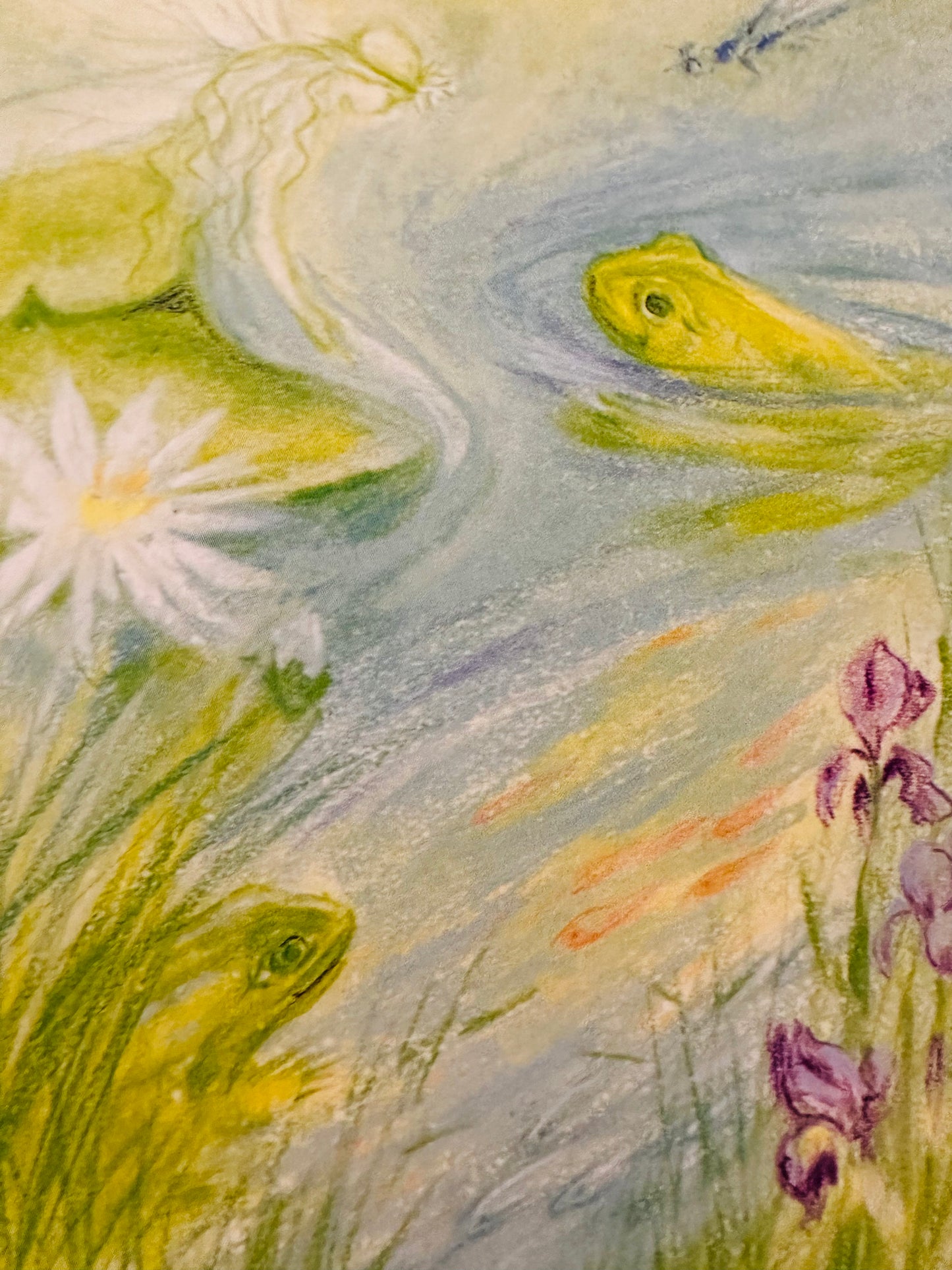 Marjan van Zeyl Postcards- Nymph & Frogs in the Pond