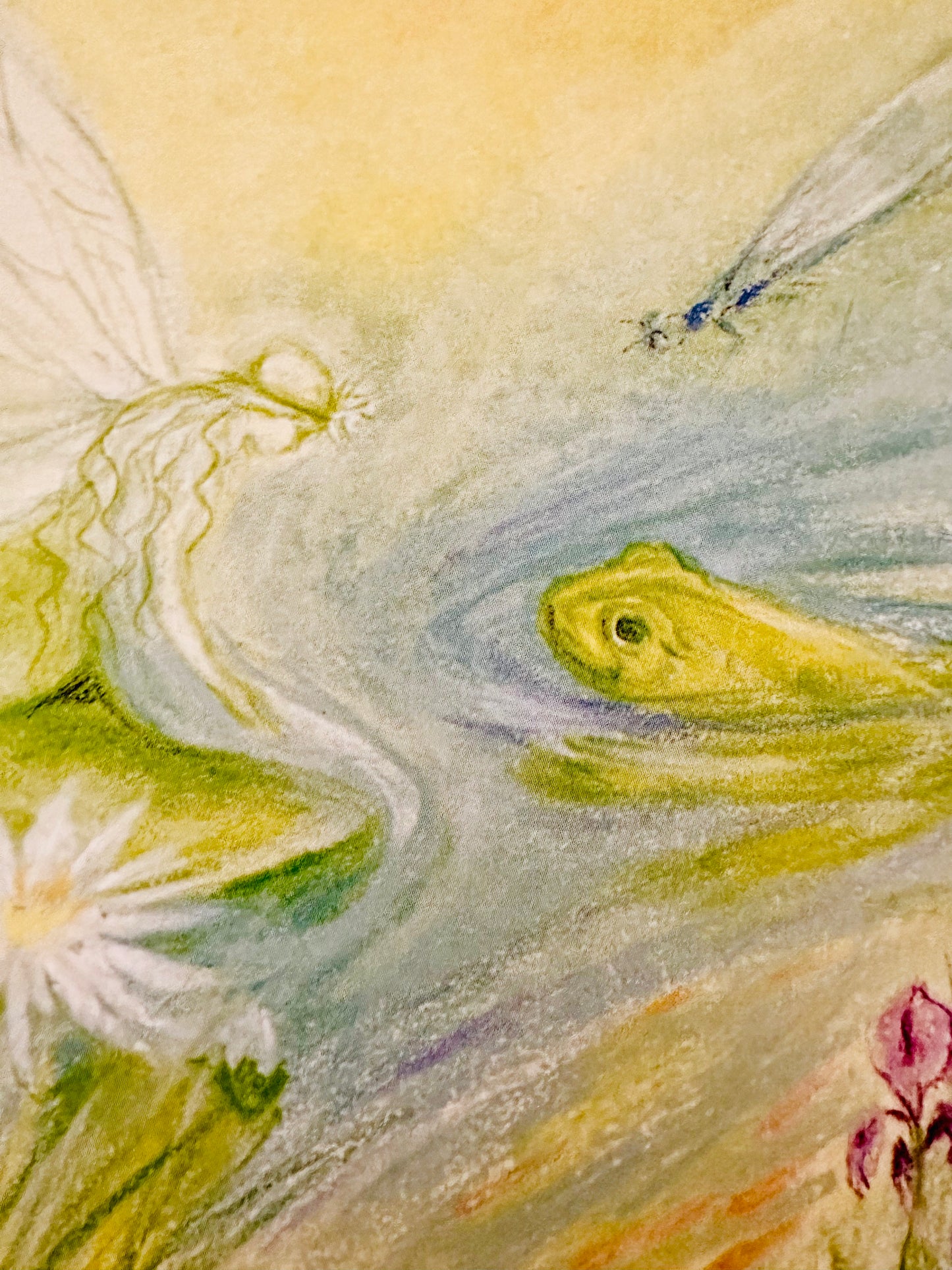 Marjan van Zeyl Postcards- Nymph & Frogs in the Pond