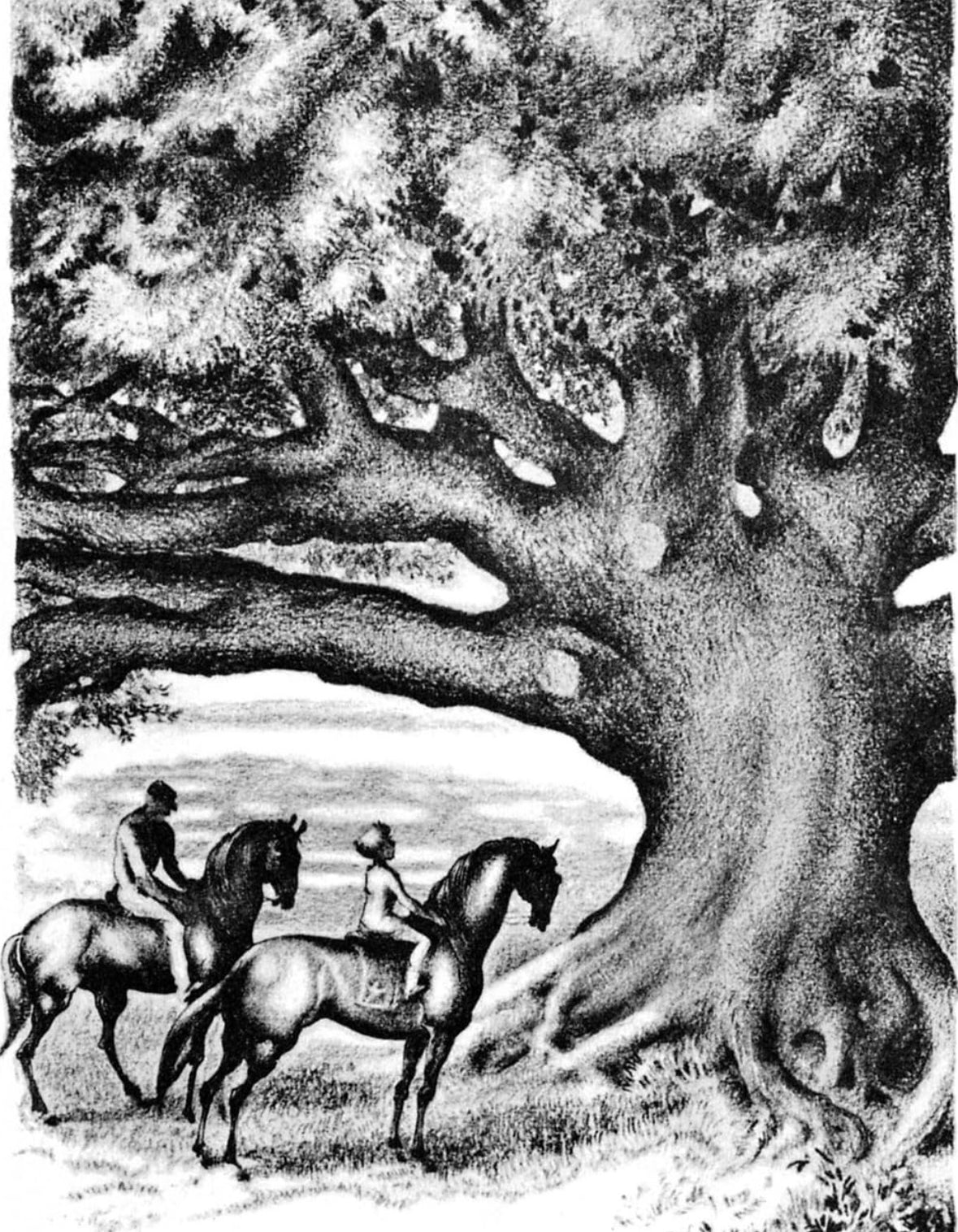 The Chestry Oak