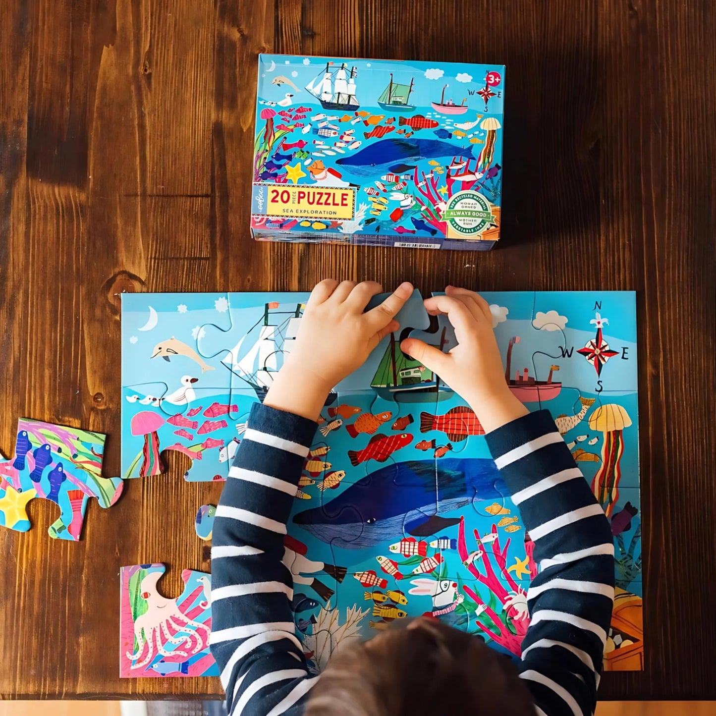 eeBoo | Sea Life 20 Piece Puzzle | Preschool Puzzle - Alder & Alouette