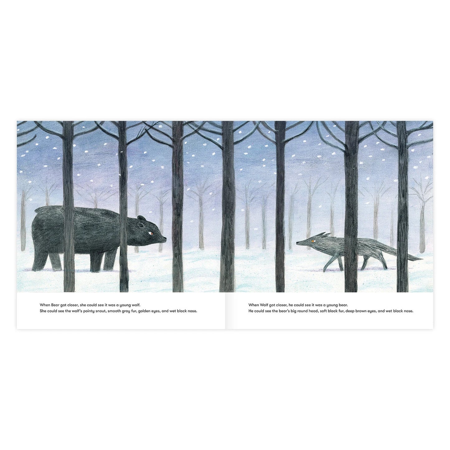 Bear and Wolf by Daniel Salmieri - Alder & Alouette