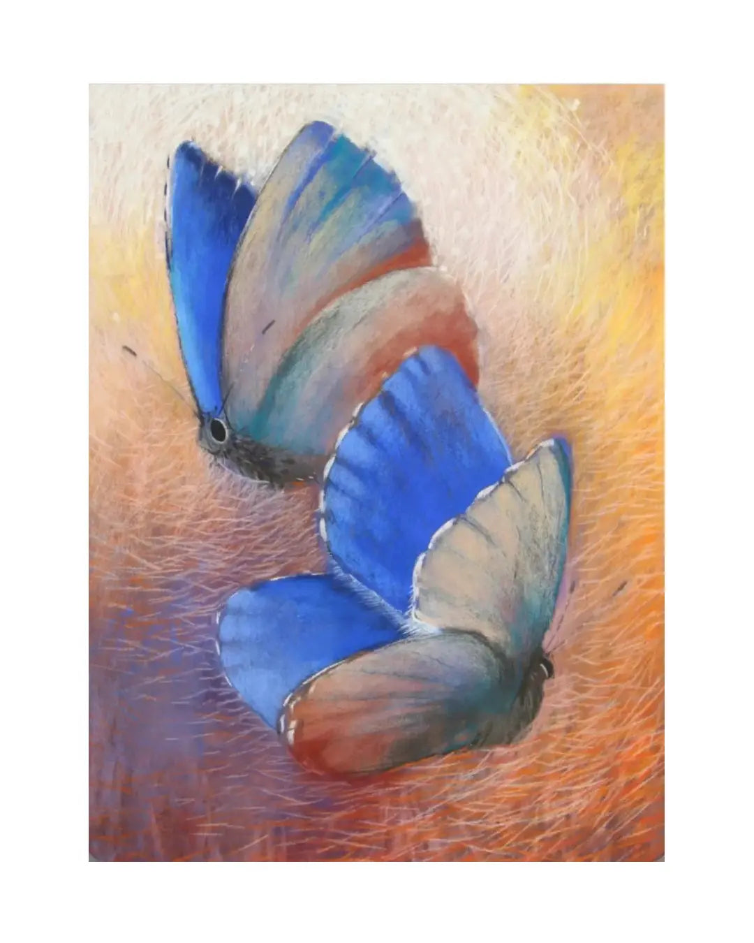Loes Botman Blue Wings Art Postcard - Pastel Chalks - Alder & Alouette