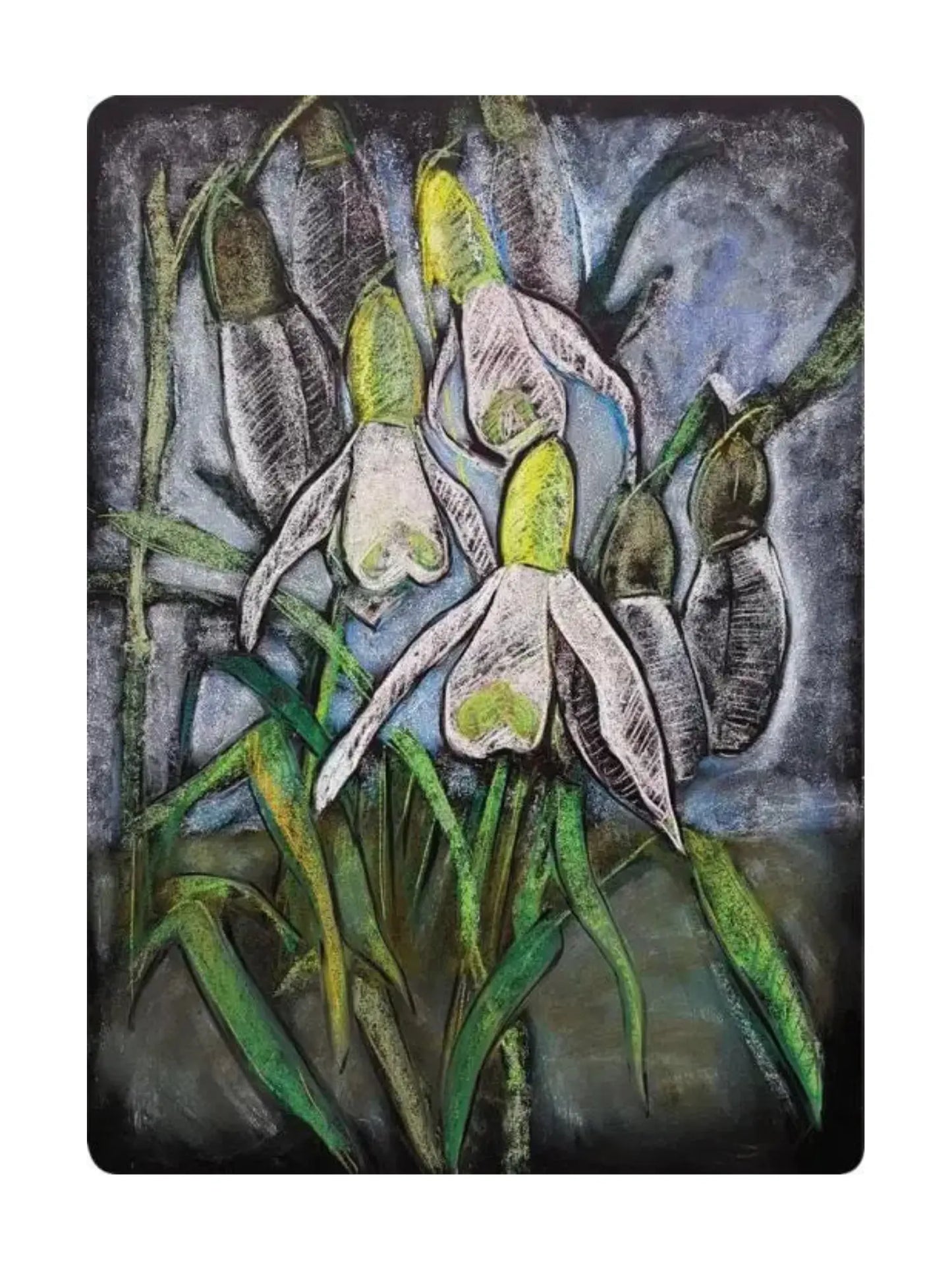Snow Drops Fine Art Postcard Geertje Kapteijns - Alder & Alouette