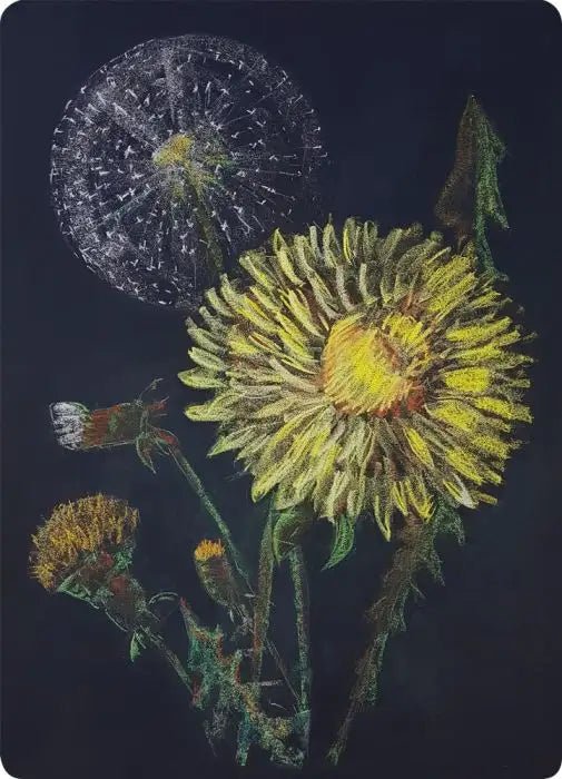 Dandelions Art Postcard by Geertje Kapteijns - Kapitein Kalk