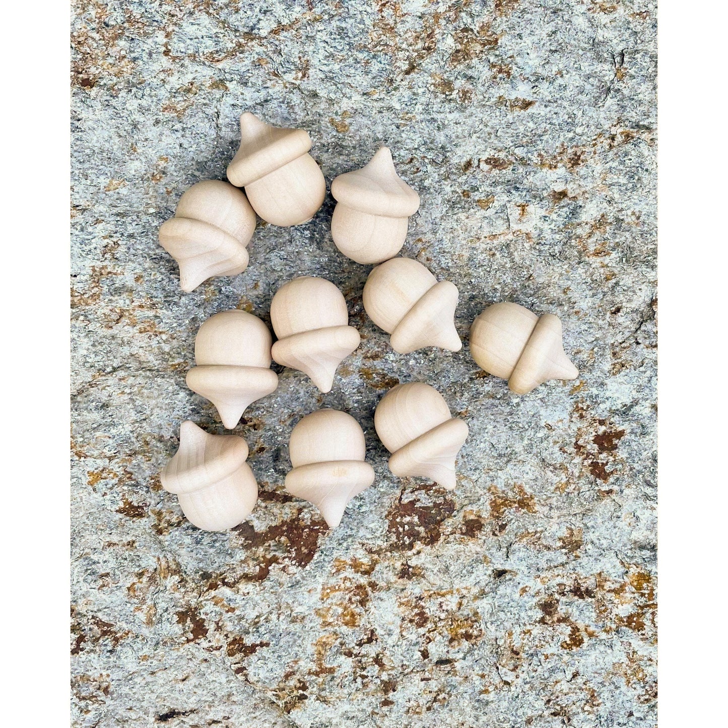 Wooden Acorns side view - Sensory Bin or Counting & Sorting - Alder & Alouette