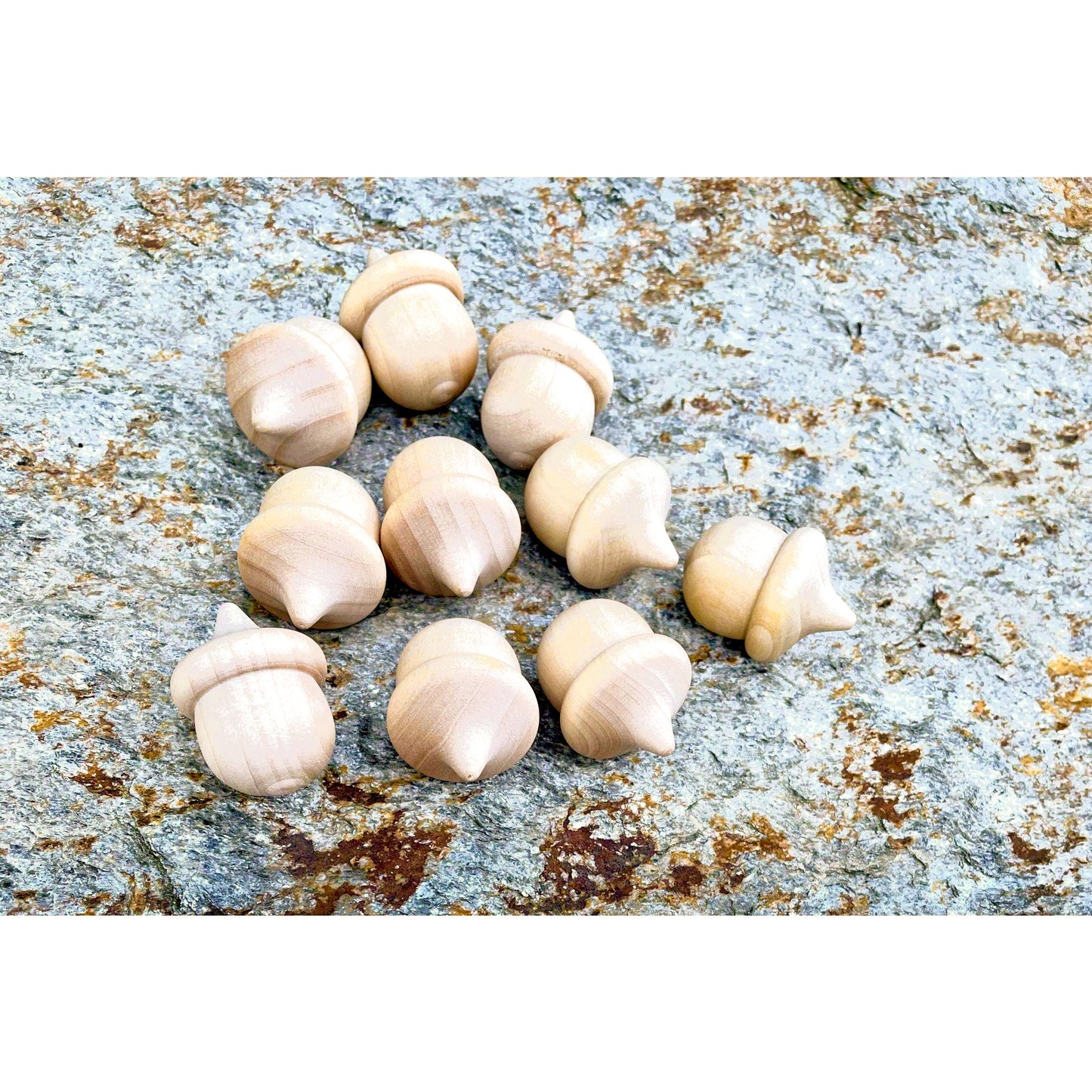 Ten Wooden Acorns - Sensory Bin or Counting & Sorting - Alder & Alouette