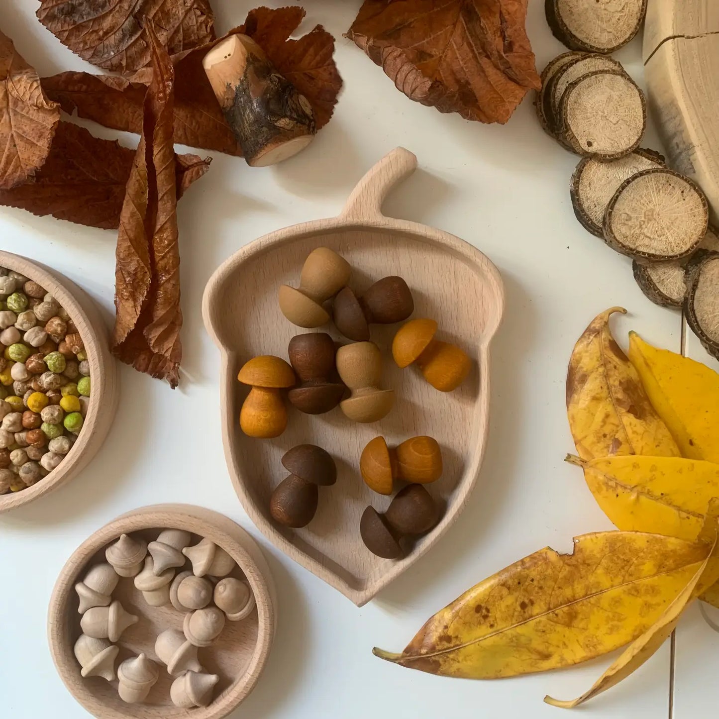 Acorn Sorting Tray Small Parts Play - Alder & Alouette
