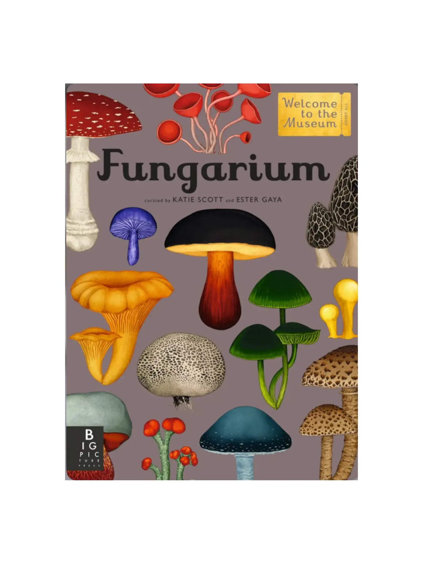 Fungarium - Welcome to the Museum - Alder & Alouette