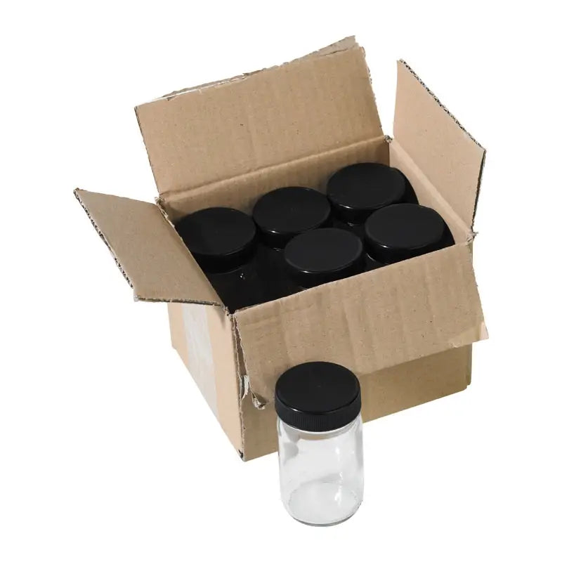 Paint Jars with Lids, 50mL/100mL - Alder & Alouette