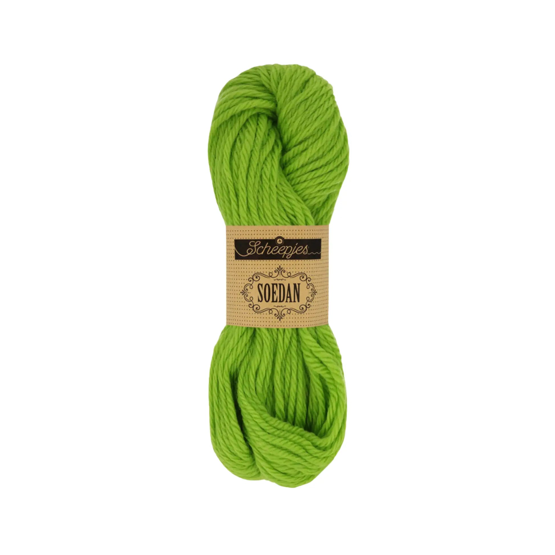 Scheepjes Soedan Chunky Wool Yarn – Summer Colors | Alder & Alouette
