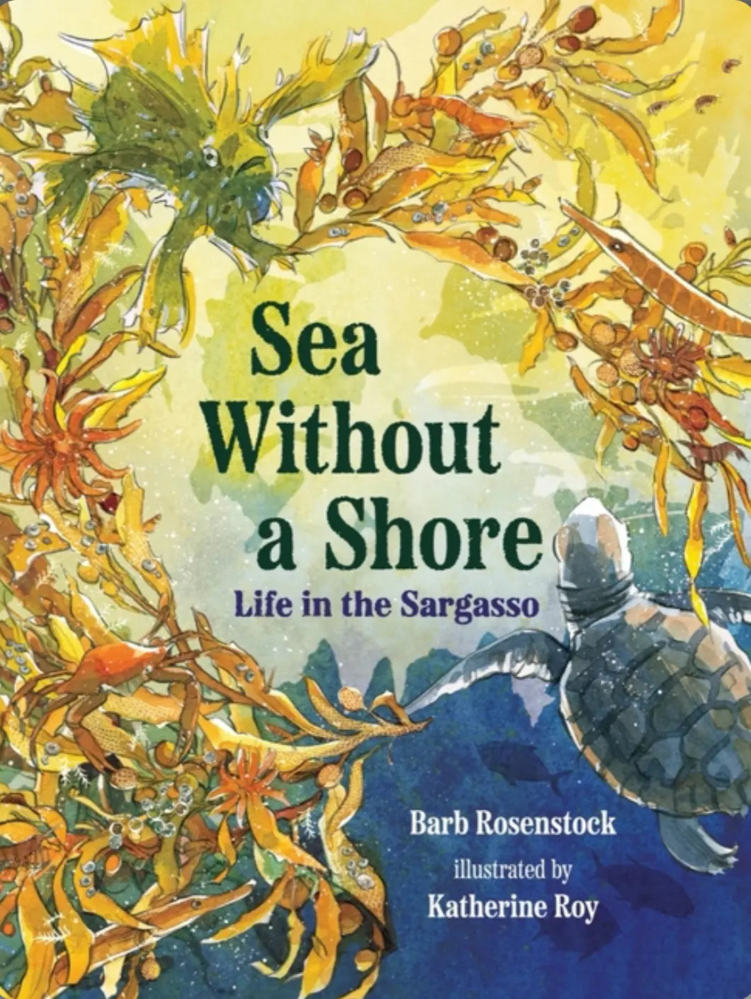 Sea Without a Shore: The Sargasso Sea by Barb Rosenstock - Alder & Alouette