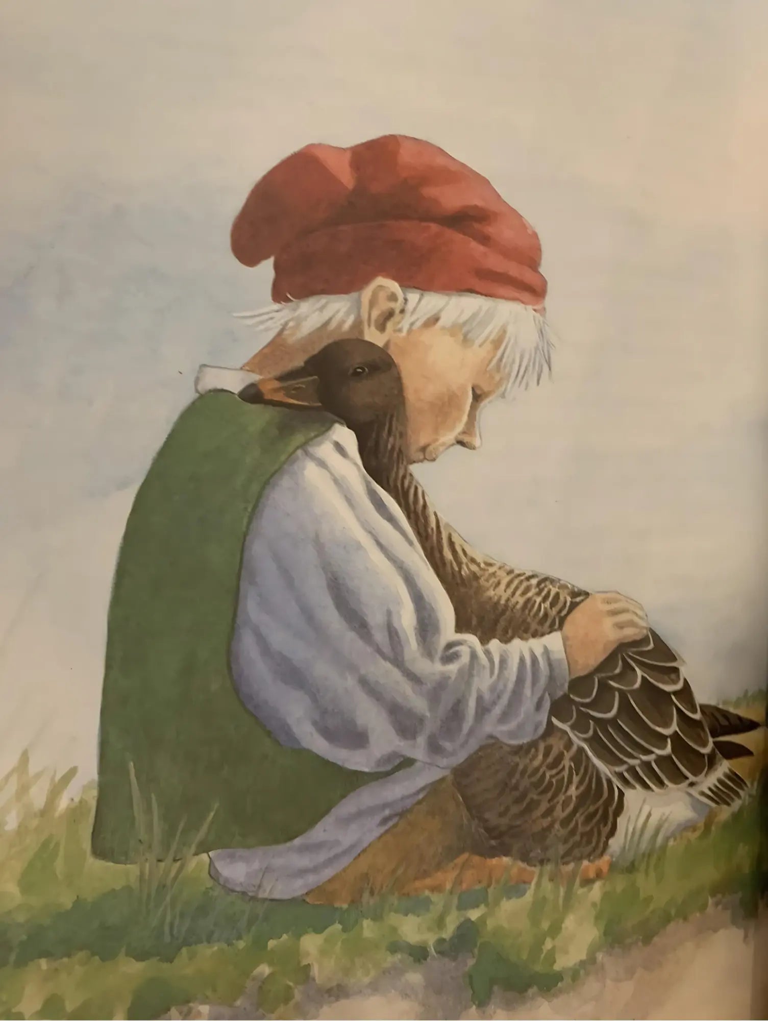 Illustration of Nils Holgersson in a red cap and green cloak hugging a goose with a soft, pastel background.