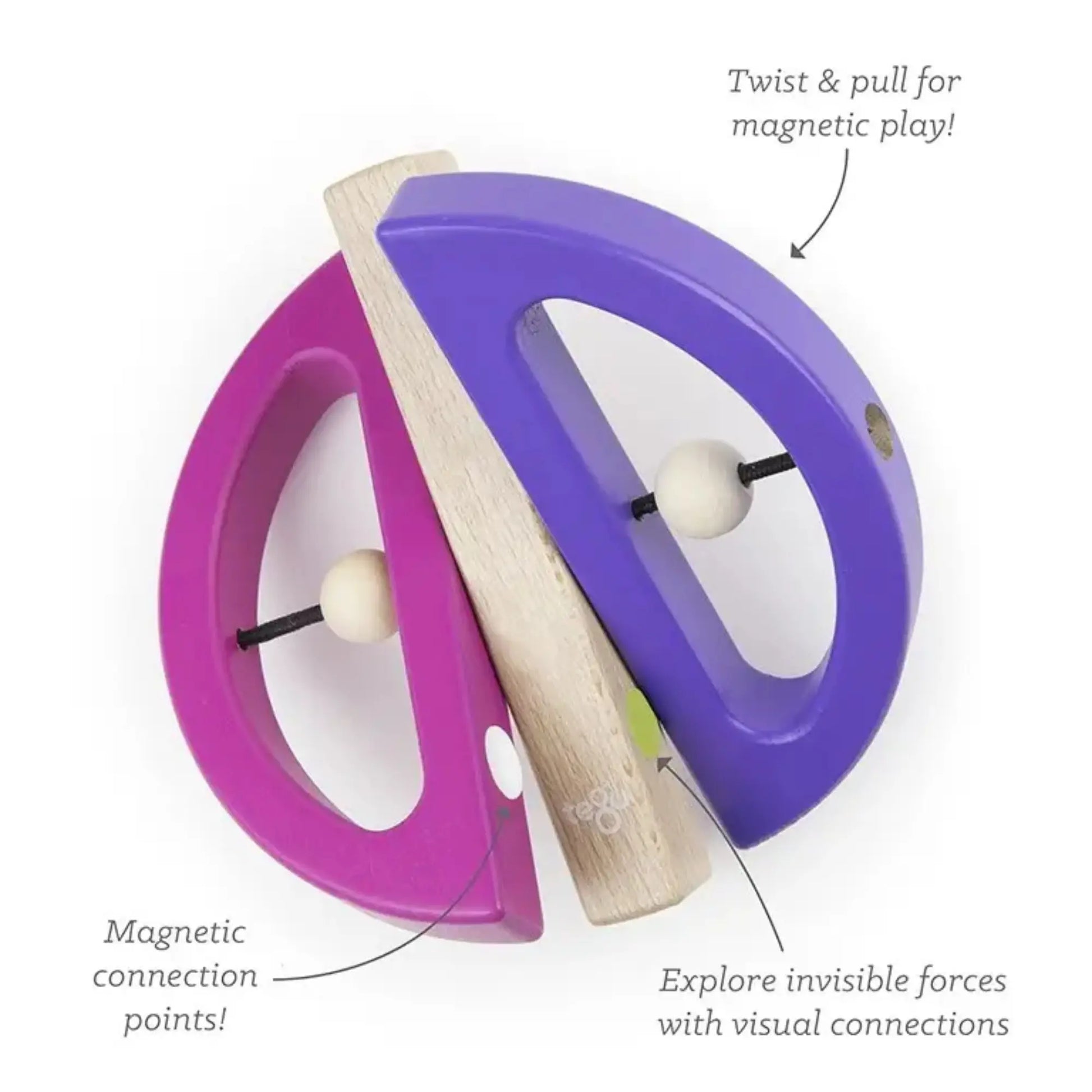 Tegu Swivel Bug Wooden Magnetic Baby & Toddler Toy | Alder & Alouette