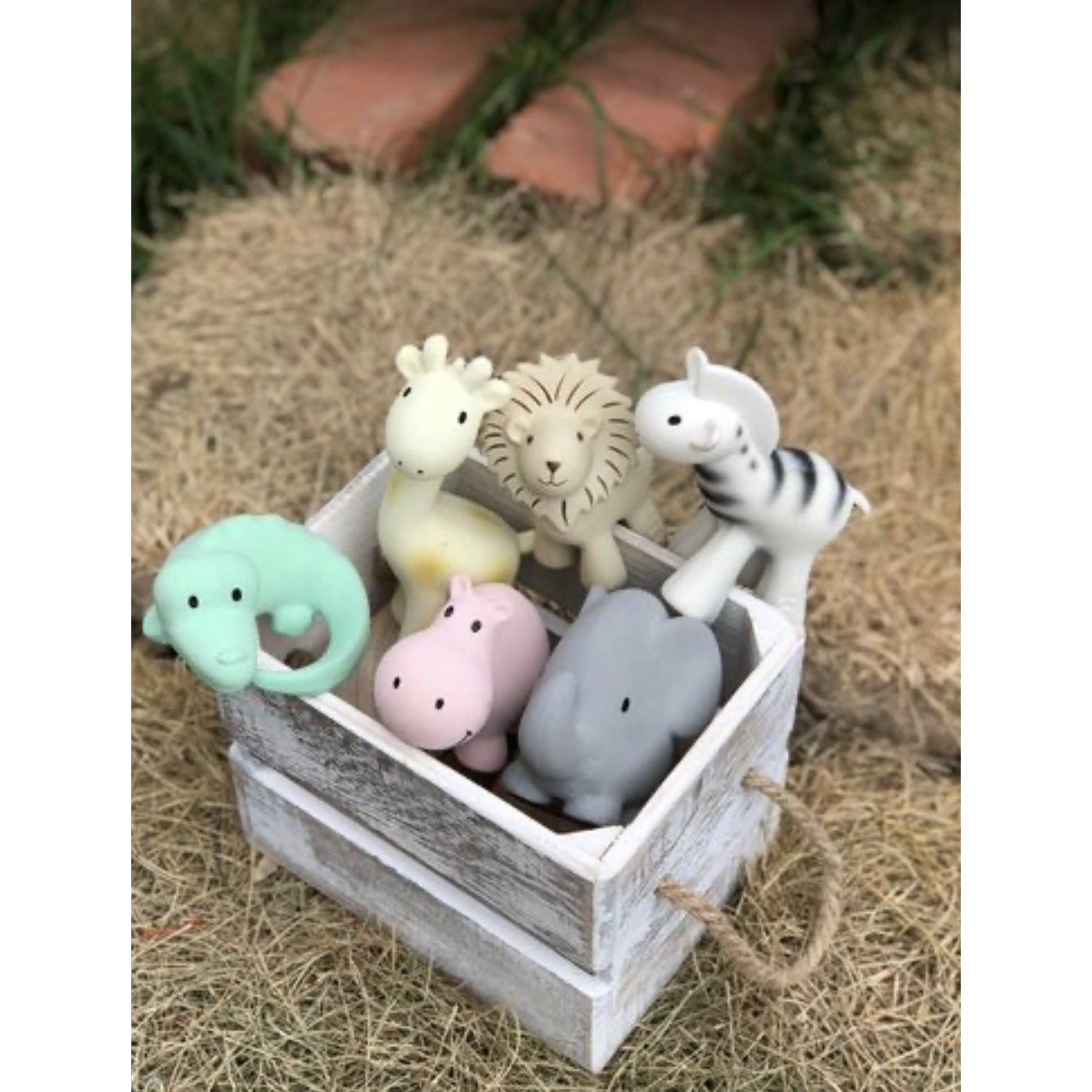 Tikiri Bath Toys and Teethers, Organic Rubber - Alder & Alouette