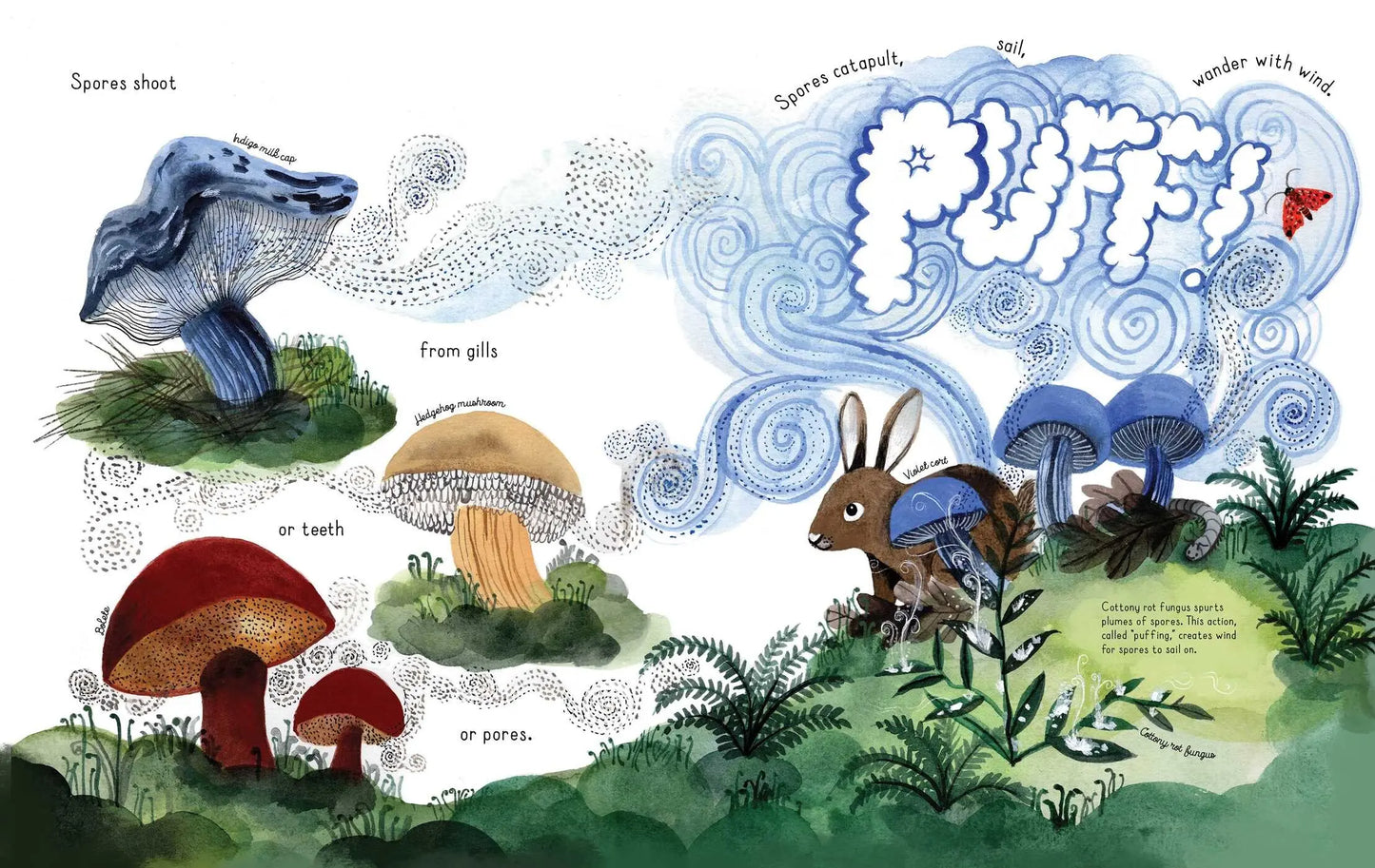 Fungi Grow | Ages 4 to 7 years - Alder & Alouette