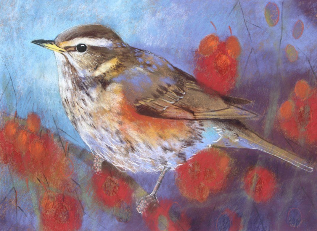 Redwing | Loes Botman | Art Card - Alder & Alouette