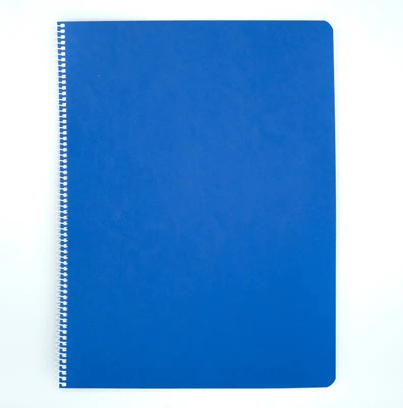 Book of Centuries - Two Types (K-5 & 6-8) Lesson Book - Alder & Alouette