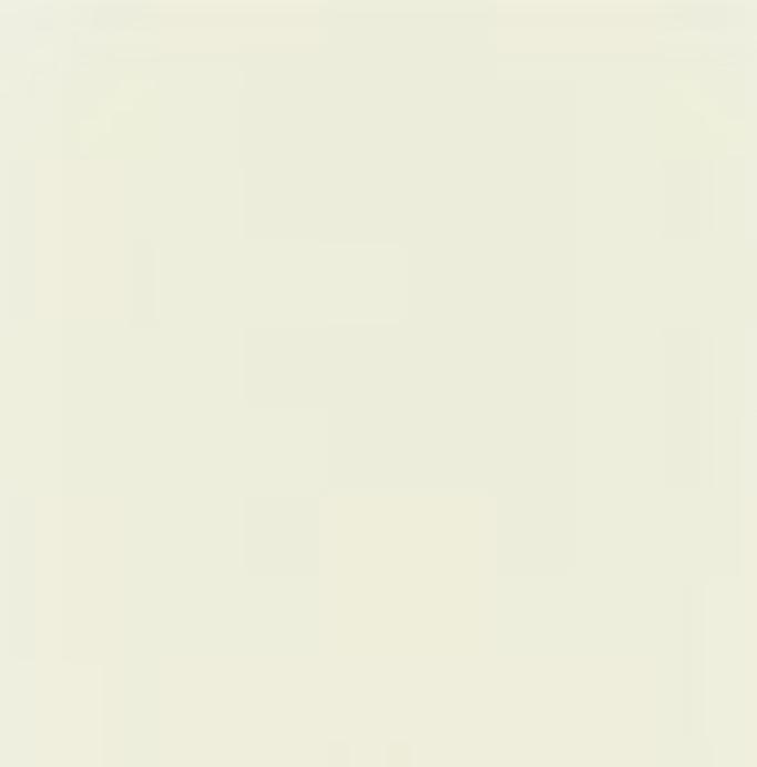 Large Kite Paper, 11 Colors - Waldorf Window Stars - Alder & Alouette