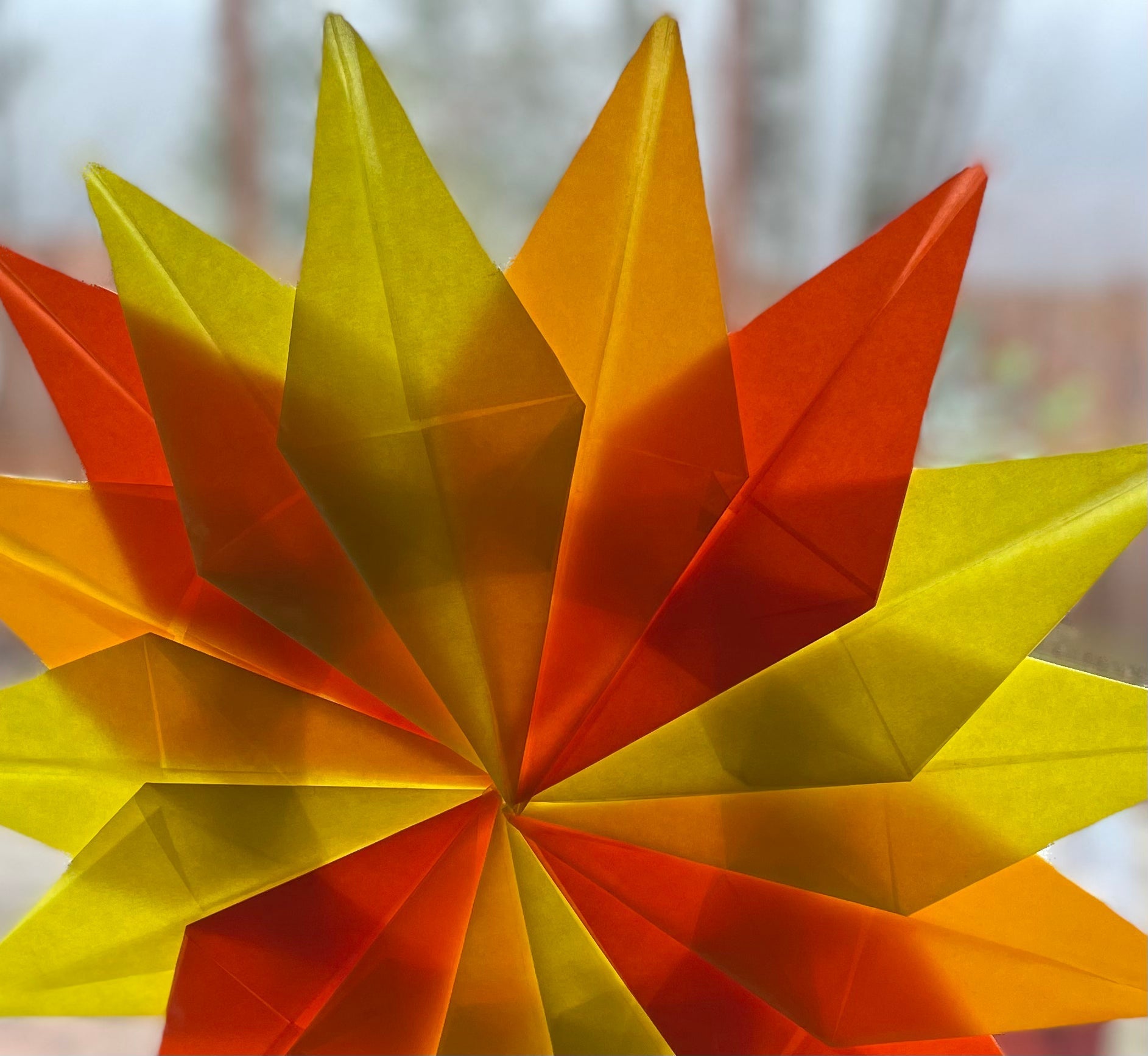 Kite Paper, Assorted Colors - Alder & Alouette