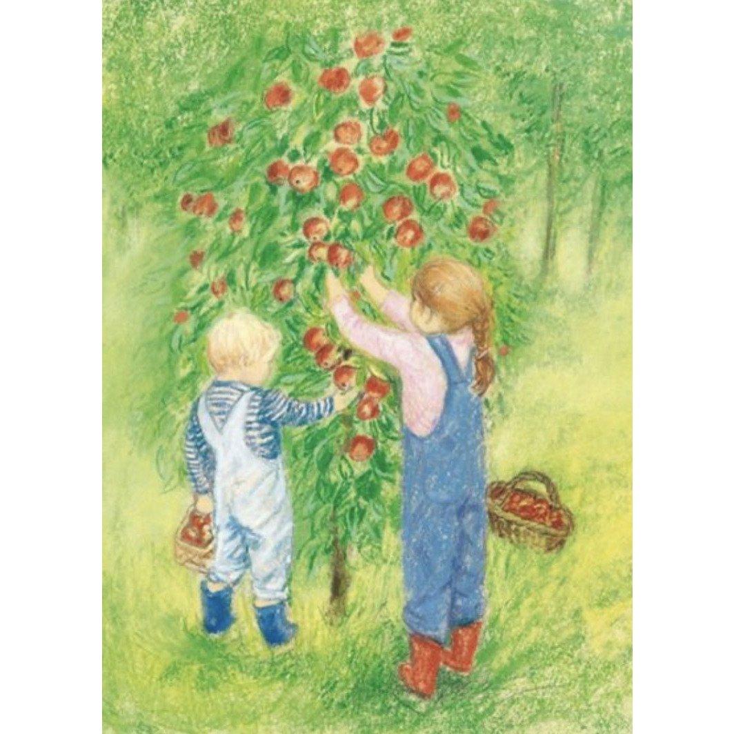 Marjan van Zeyl Postcards - Apple Harvest - Alder & Alouette