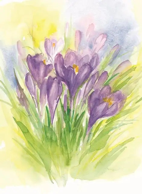 Marjan van Zeyl Postcards, Crocus