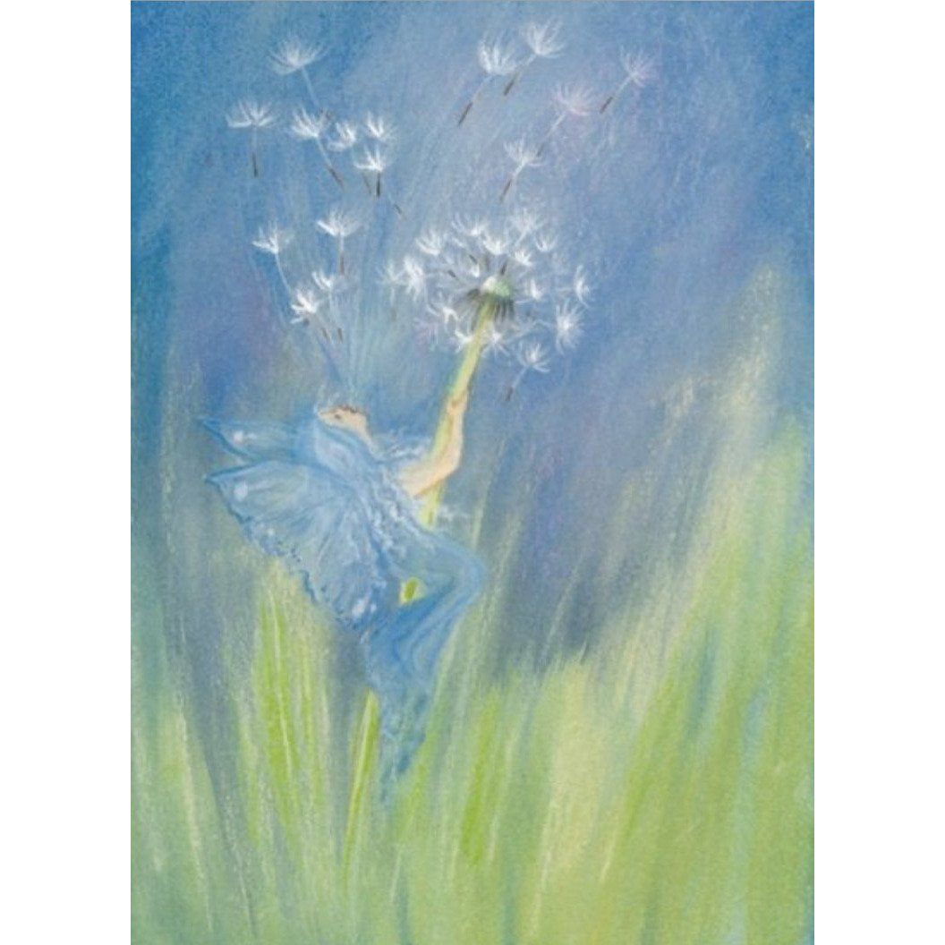 Marjan van Zeyl Postcards, Fairy Blowing Dandelion - Alder & Alouette