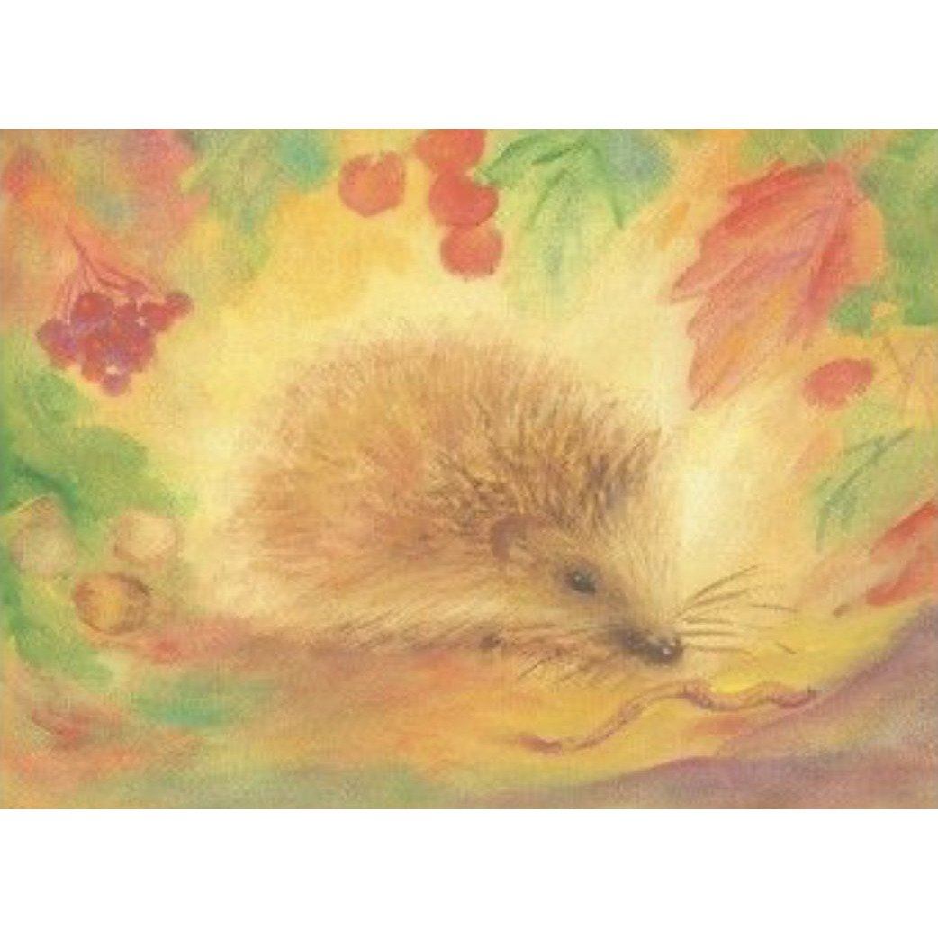 Marjan van Zeyl Postcards, Hedgehog - Alder & Alouette
