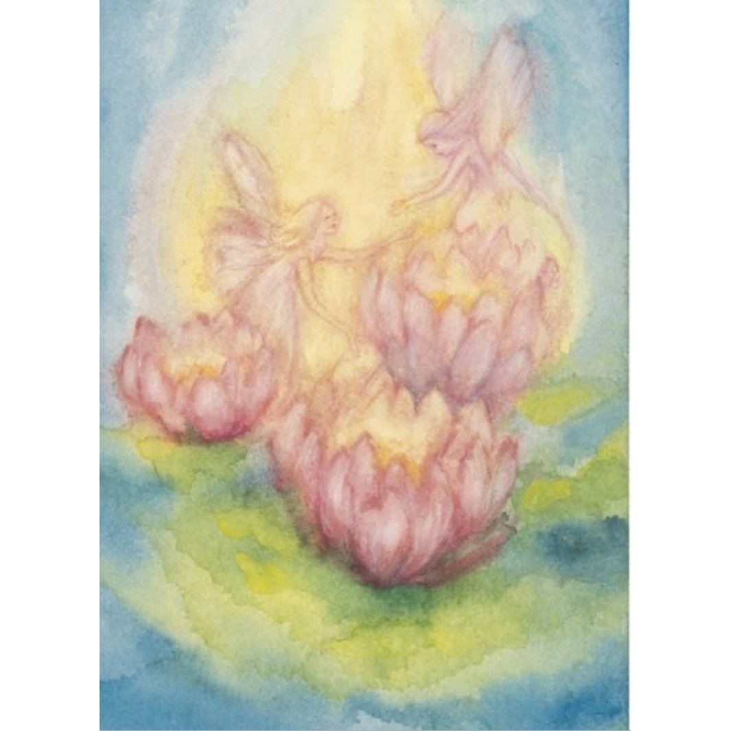 Marjan van Zeyl Postcards, Nymphe - Alder & Alouette