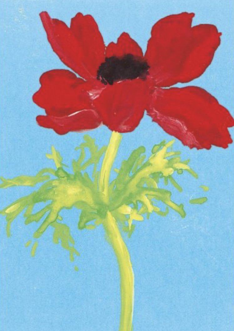 Marjan van Zeyl Postcards, Red Anemone - Alder & Alouette