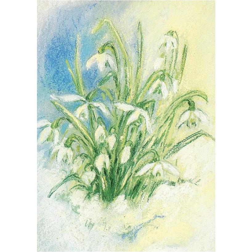 Marjan van Zeyl Postcards - Snow Drops Ephemera International Design | Alder & Alouette