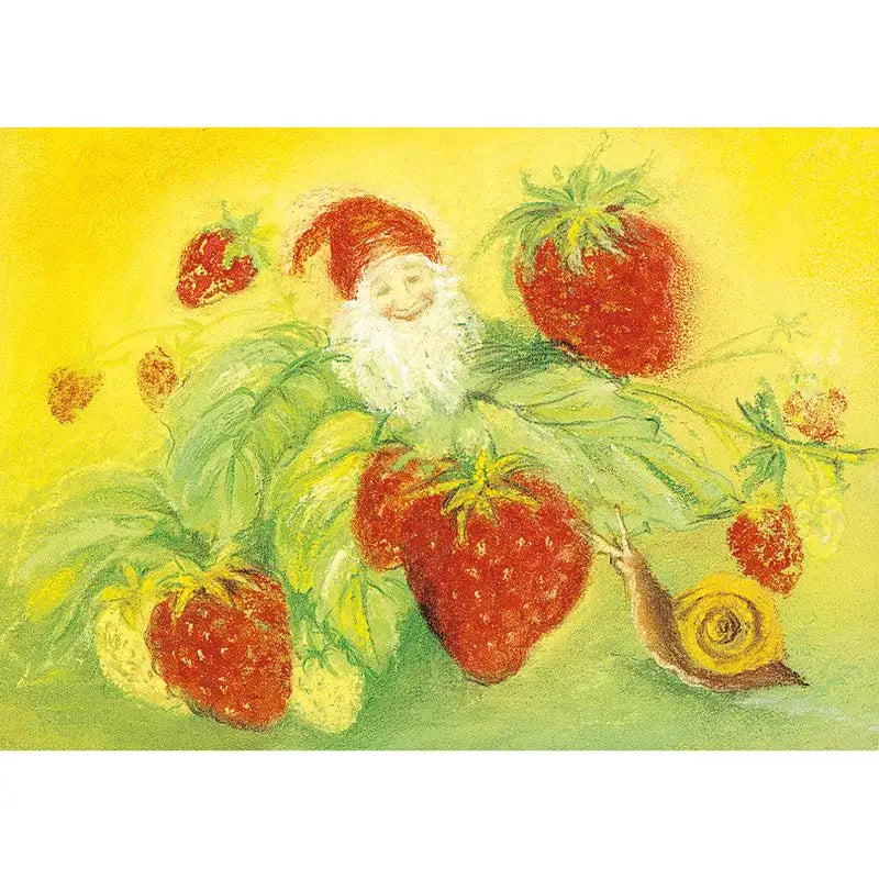 Marjan van Zeyl Postcards - Summer Snail Postcards - Alder & Alouette