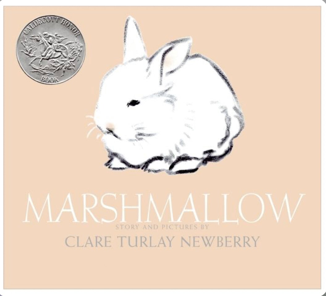 Marshmallow by Clare Turlay Newberry - Alder & Alouette
