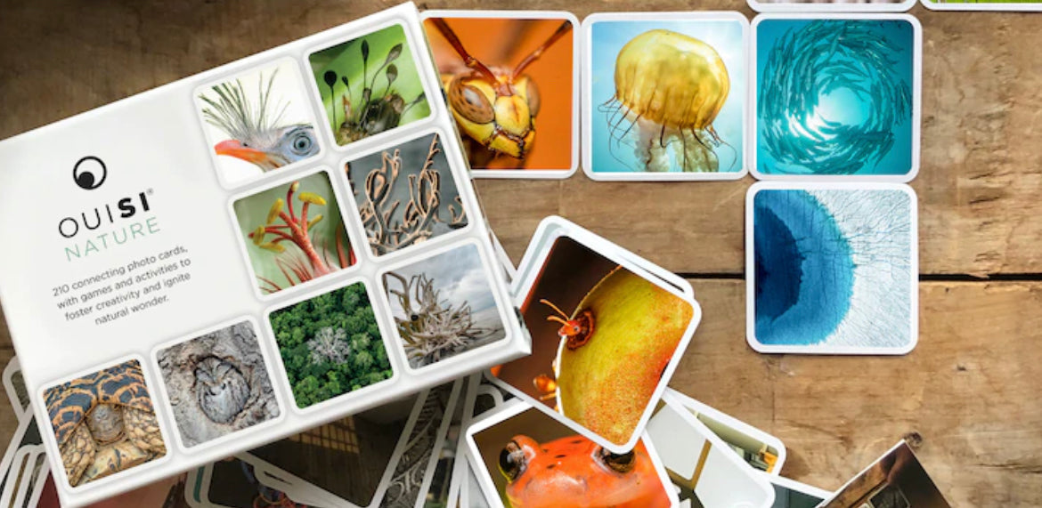 OuiSi Nature: Creative Game - Alder & Alouette