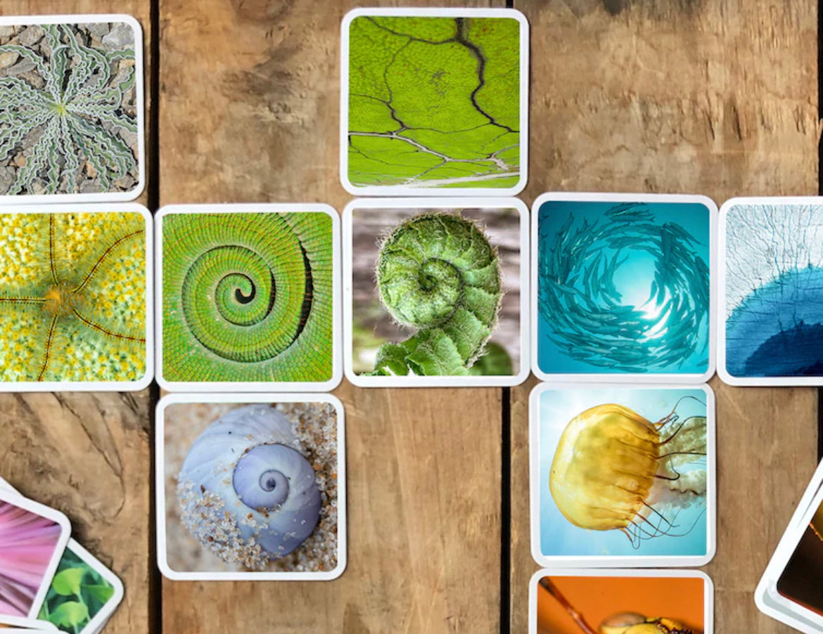 OuiSi Nature: Creative Game - Alder & Alouette