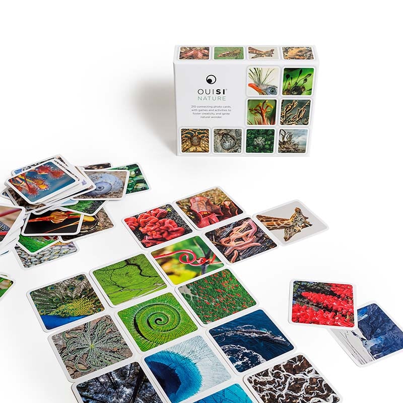 OuiSi Nature: Creative Game - Alder & Alouette