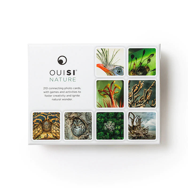 OuiSi Nature: Creative Game - Alder & Alouette