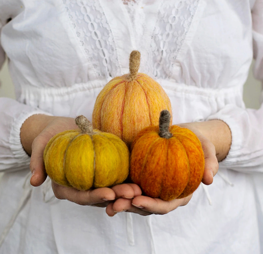 Pumpkins Needle Felting Kit