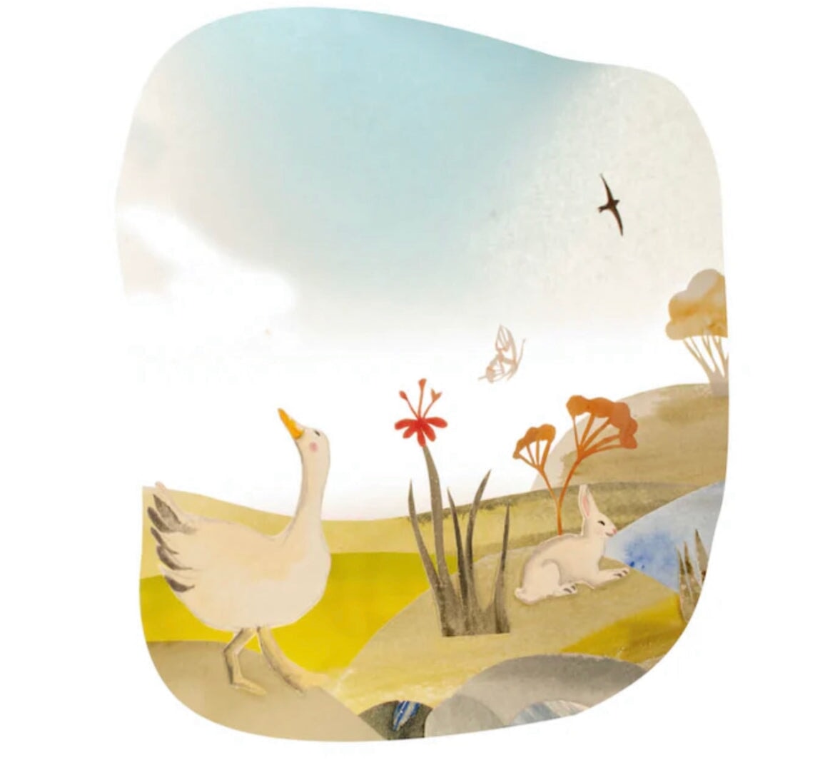 Silence, A Beautiful Wordless Picture Book - Alder & Alouette