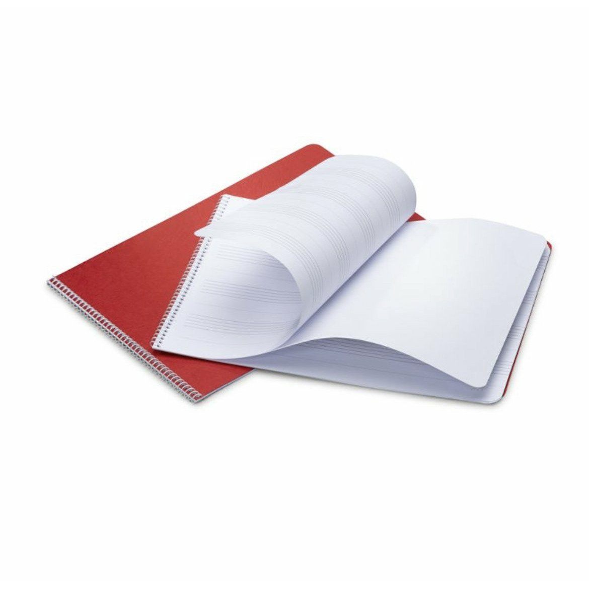 Music Notation Lesson Book | Waldorf Music Class | Blank Sheet Music - Alder & Alouette