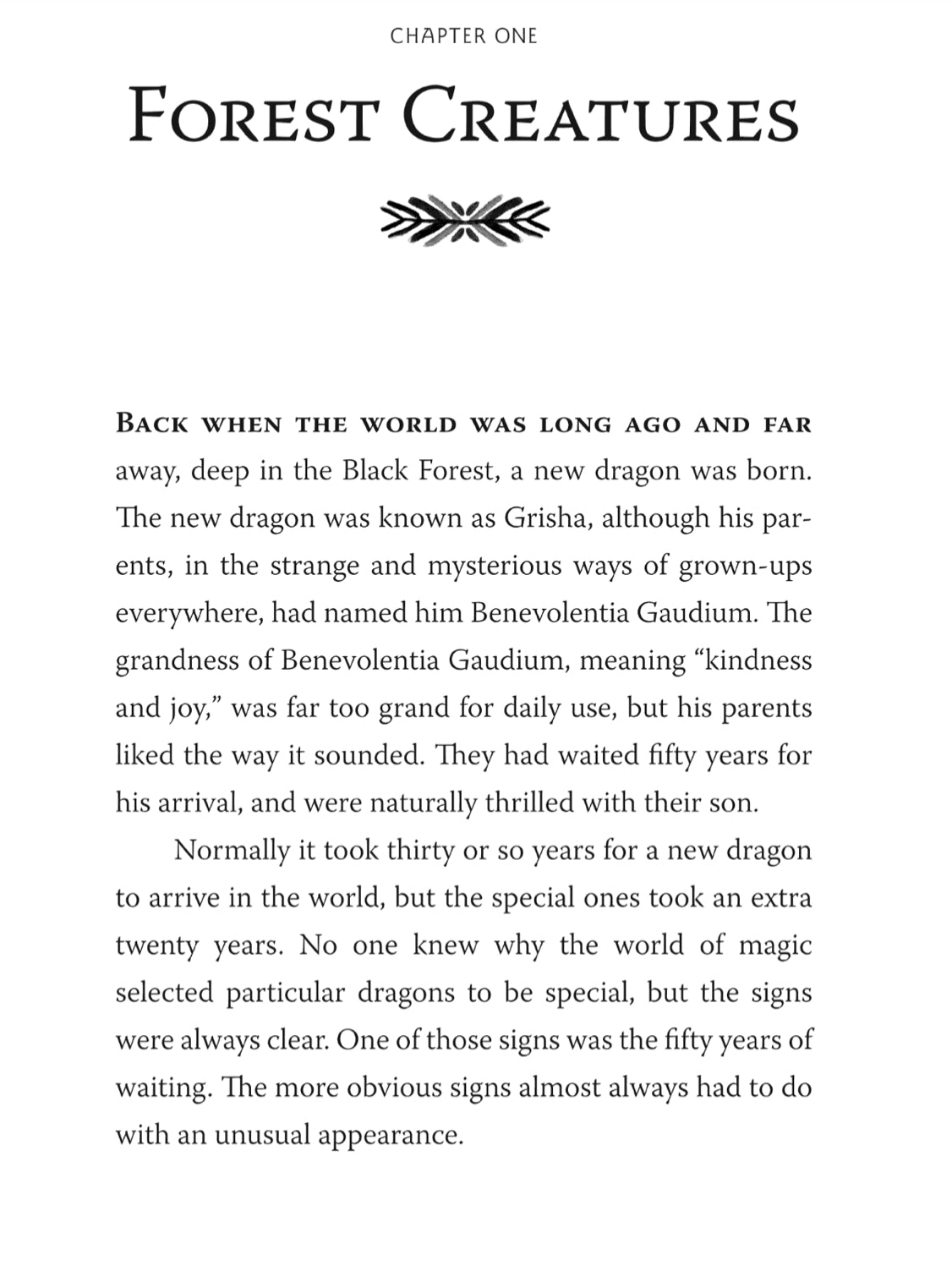 The Language of Spells | Middle Grade Novel Ages 10 to 14 years Middle grade Novel - Alder & Alouette