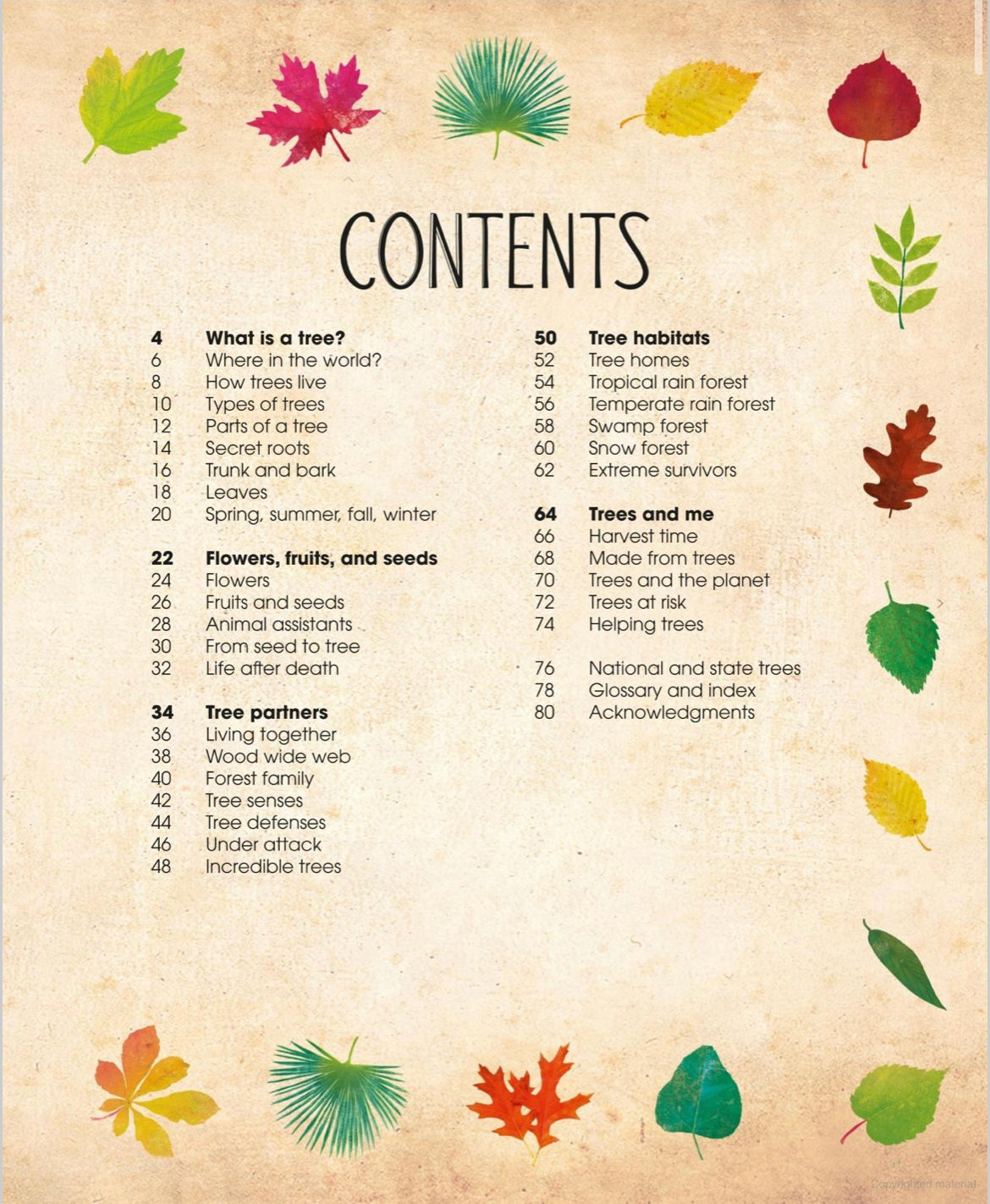 The Magic and Mystery of Trees - Tree Science for Kids - Alder & Alouette
