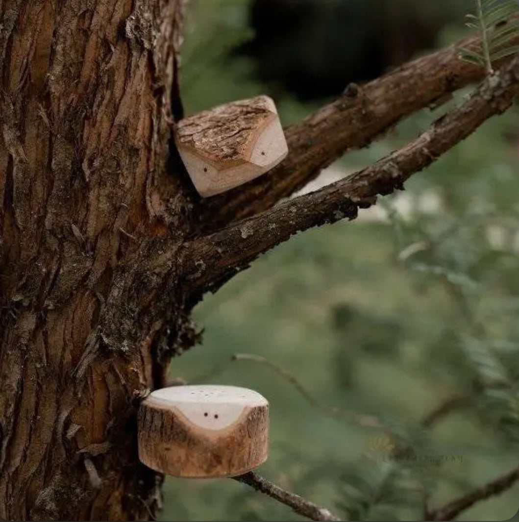 Tree Creatures | Natural Toys | Toys made from Tree Branches | Pretend Play - Alder & Alouette