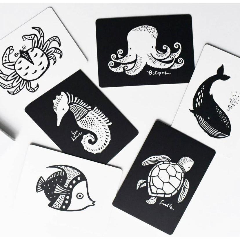 Wee Gallery High Contrast Cards for Babies, Ocean - Alder & Alouette