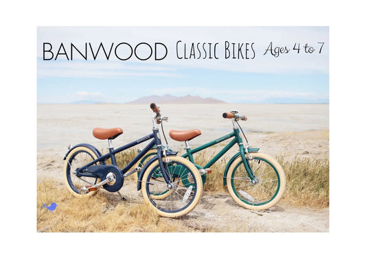 BANWOOD Classic Bike for Kids